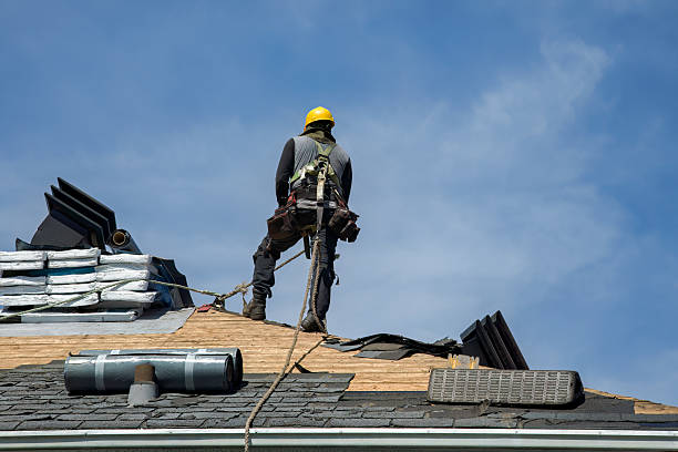 Professional Roof Replacement technician working in Taft, FL
